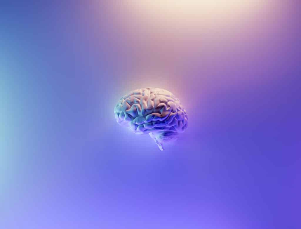 Abstract brain visualization representing questions about consciousness and reality