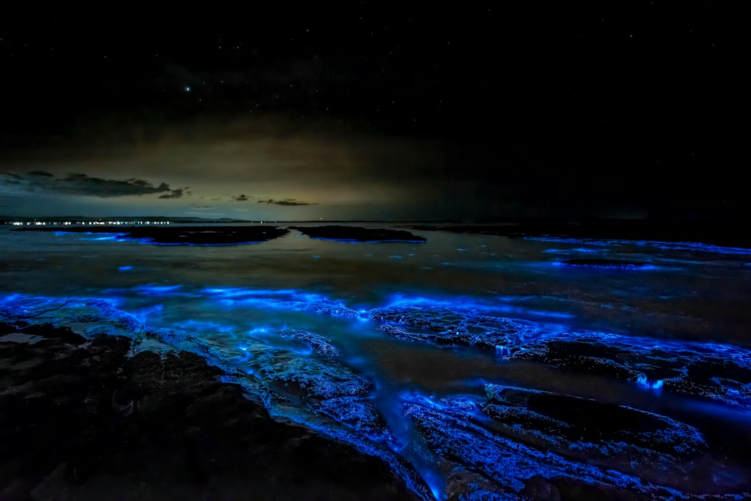 Bioluminescent ocean waves illustrating the science of glowing plankton